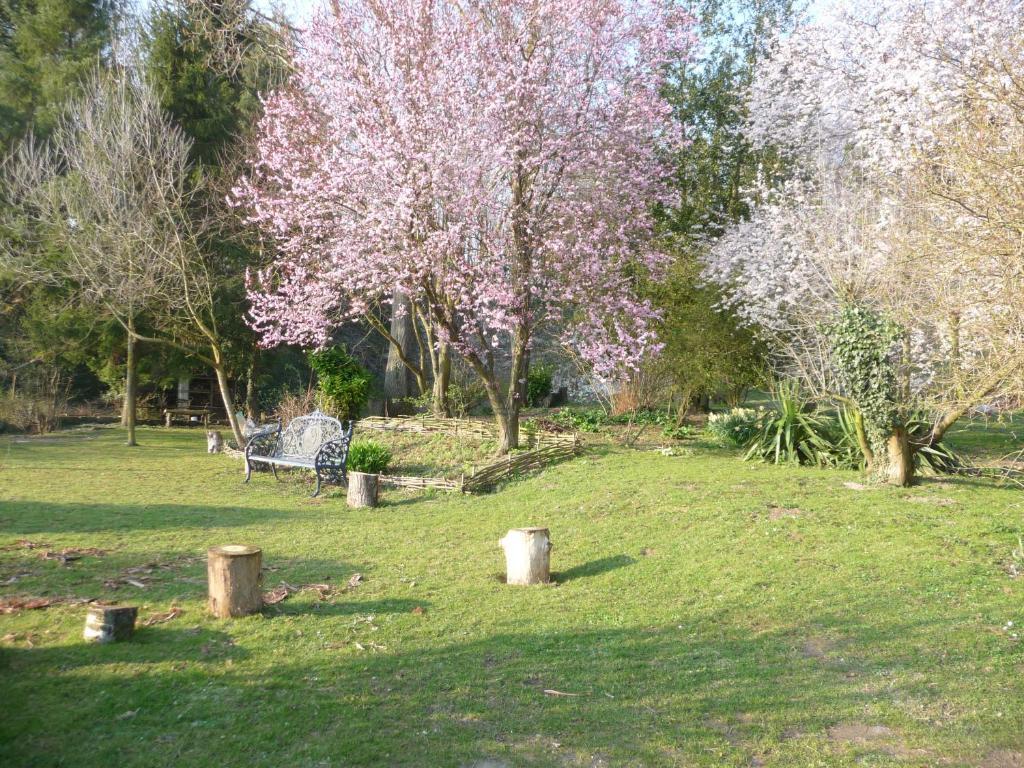 Mont Blanc - Locations De Charme Villa Beaurainville Rom bilde